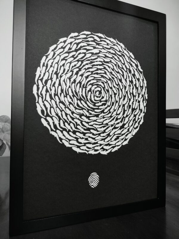 shadow box, shadow box frame, shadow box display case, light box