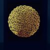 Groups of Fish Following a Circle – Lightbox Art Wall Art LightBox with LED, Shadowbox Wall Decor