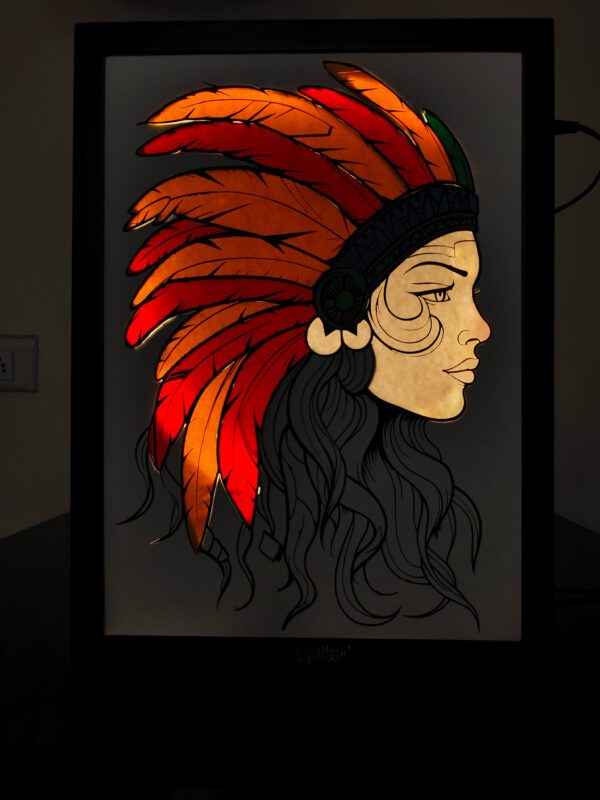 a painting of a woman with a feathered headdress shadow box, shadow box frame, big shadow box