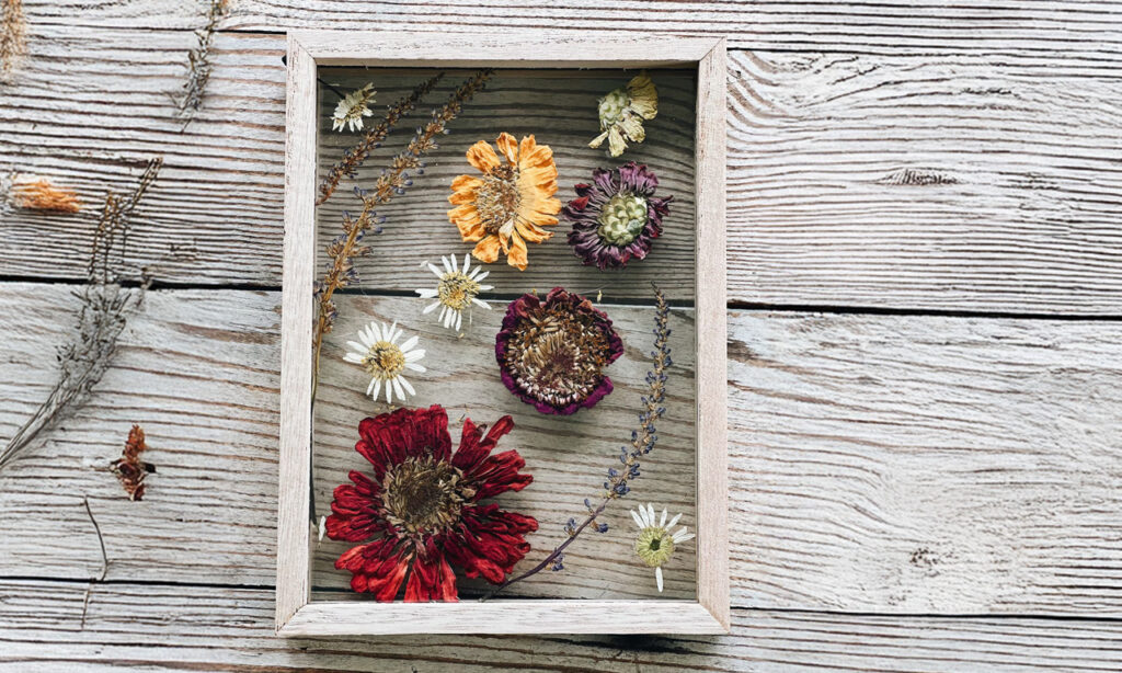 Shadow Box for Dry Pressed Flowers: A Timeless Way to Preserve Memories
